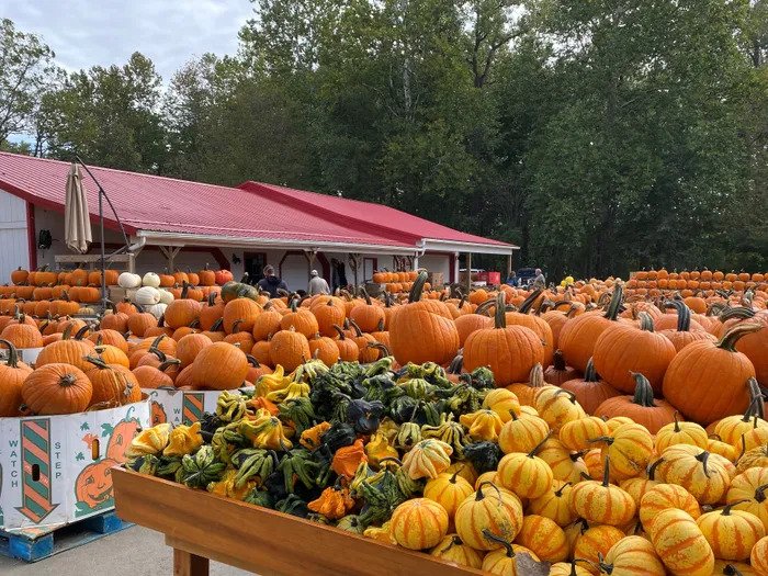 Pumpkin Patches in Northeast Ohio