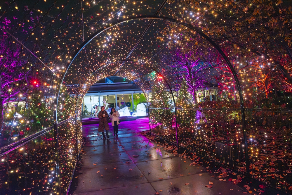 Cleveland Botanical Garden FROST holiday lights