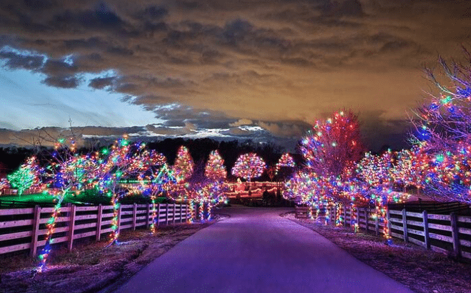 Lake Metroparks Farmpark Drive-Thru Holiday Lights Kirtland