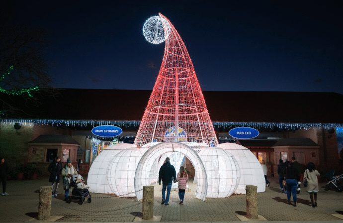 Wild Winter Lights Cleveland Metroparks Zoo illuminated tunnel